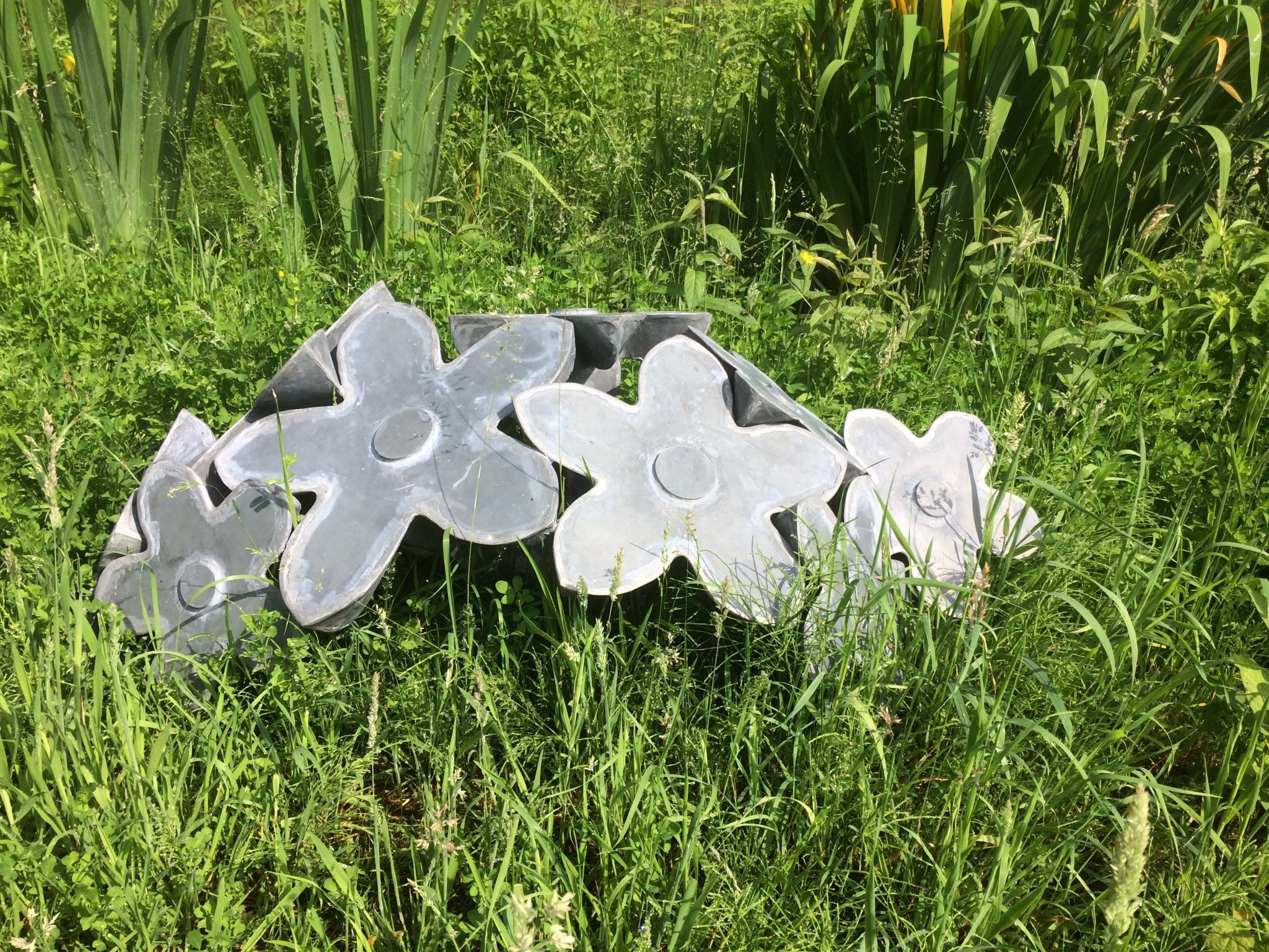 zinken bloemen in het gras
