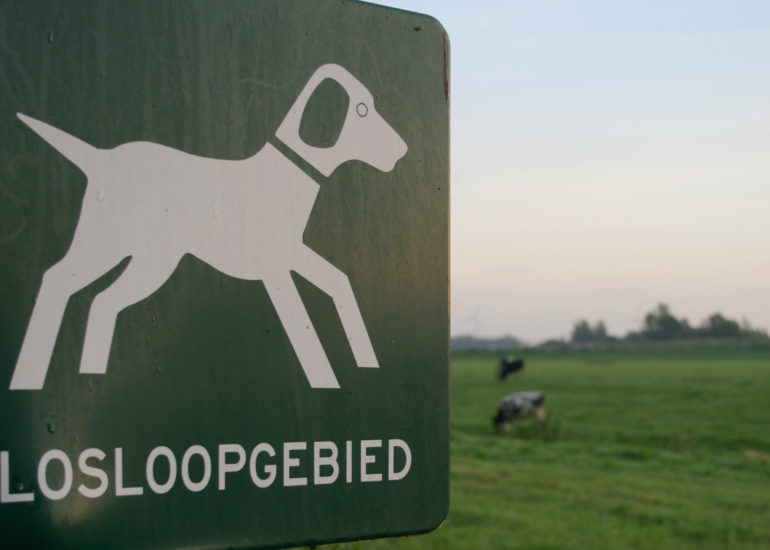 honden losloopgebied