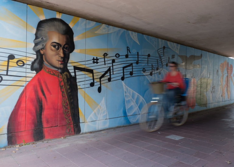 Tunnel met graffiti kunst in Waddinxveen