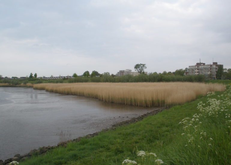 Groenedijk Capelle aan den IJssel