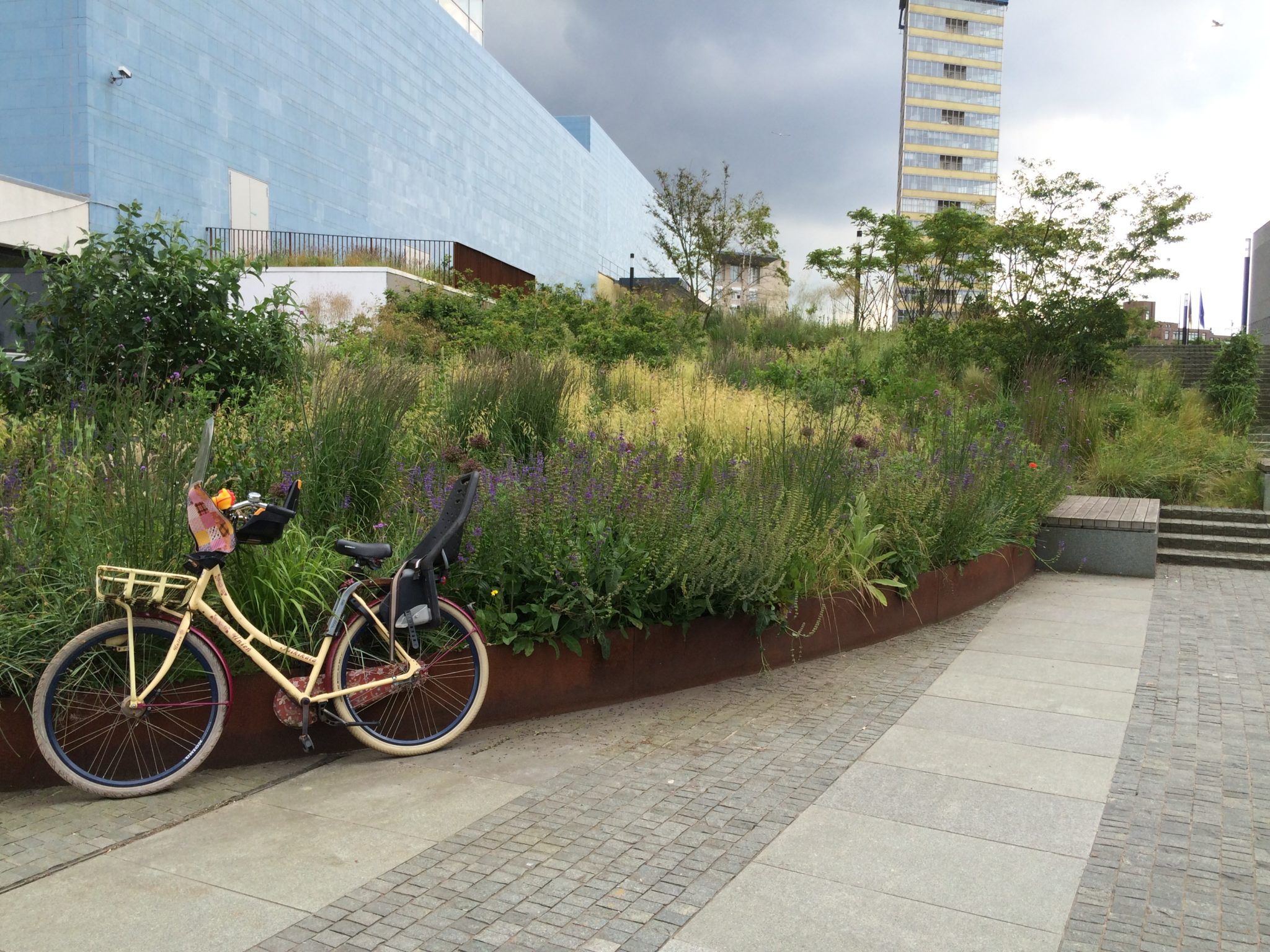 Den Haag Europolgebied fiets tegen plantenborder