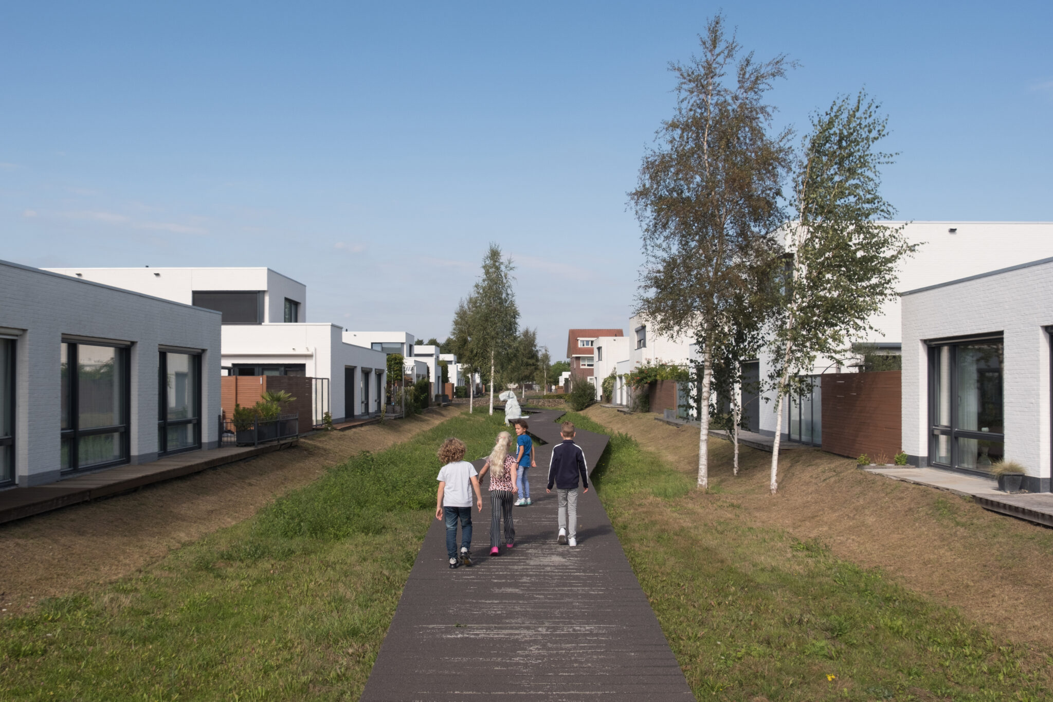 Wadi Radijsveld in Berghem gemeente Oss