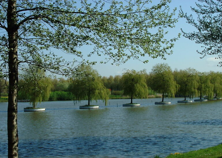 Boomeilandjes Zoetermeer zijn overgebleven van Floriade van 1992