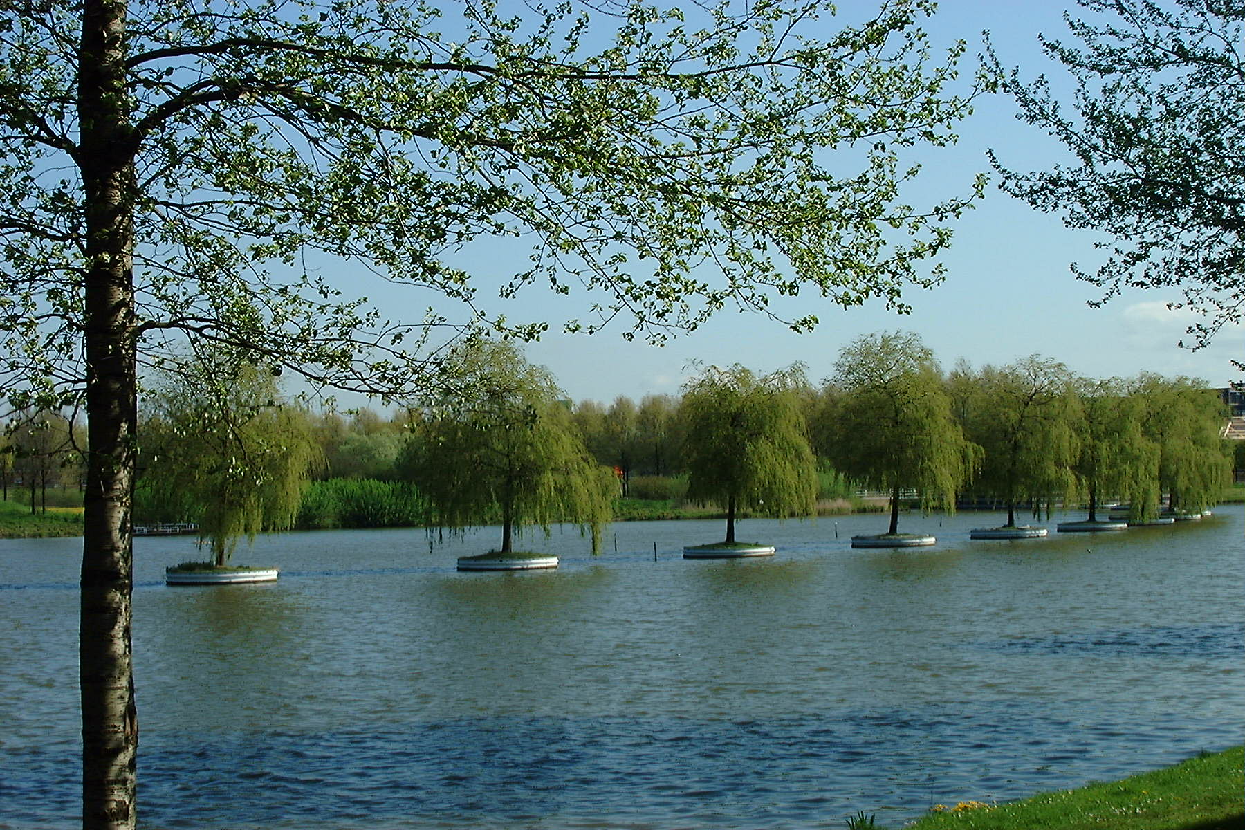 Boomeilandjes Zoetermeer zijn overgebleven van Floriade van 1992