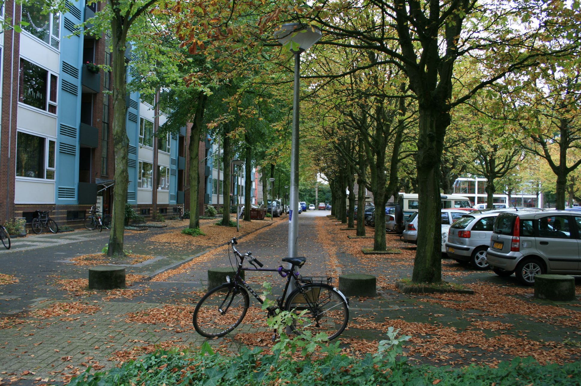 Herfst in Delft