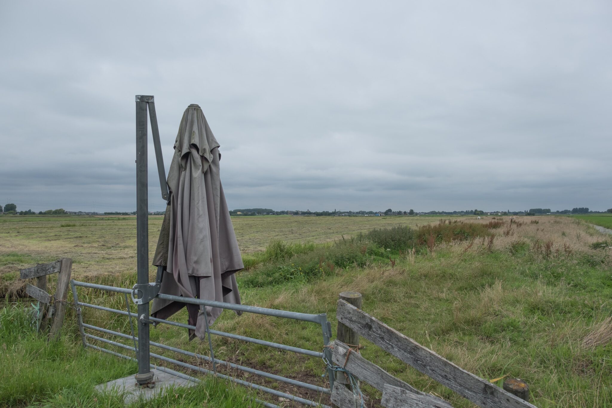 Parasol geeft schaduw aan dieren in weiland