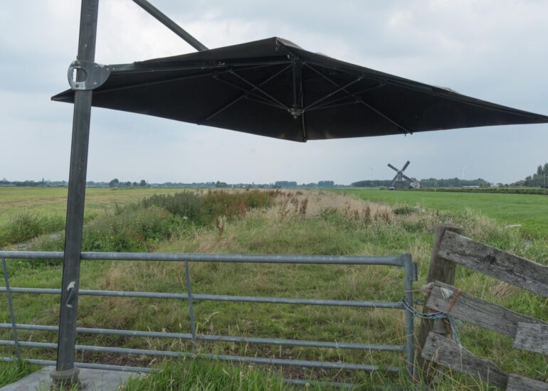 Parasol geeft schaduw aan dieren in een weiland