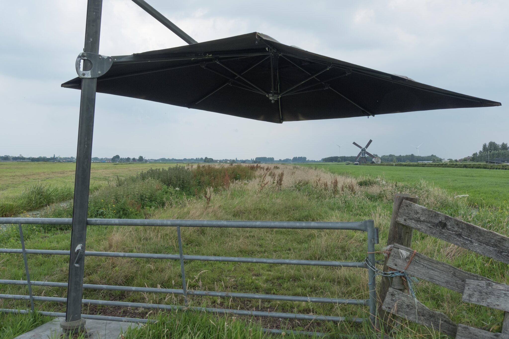 Parasol geeft schaduw aan dieren in een weiland